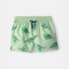 Toddler Boy Dinosaur Swim Trunks - Green