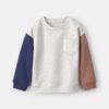 Toddler Boy Color Block Fleece Pullover Sweatshirt - Grey/Brown/Blue