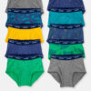 Boys 10-Pack Dinosaur Print Brief Underwear
