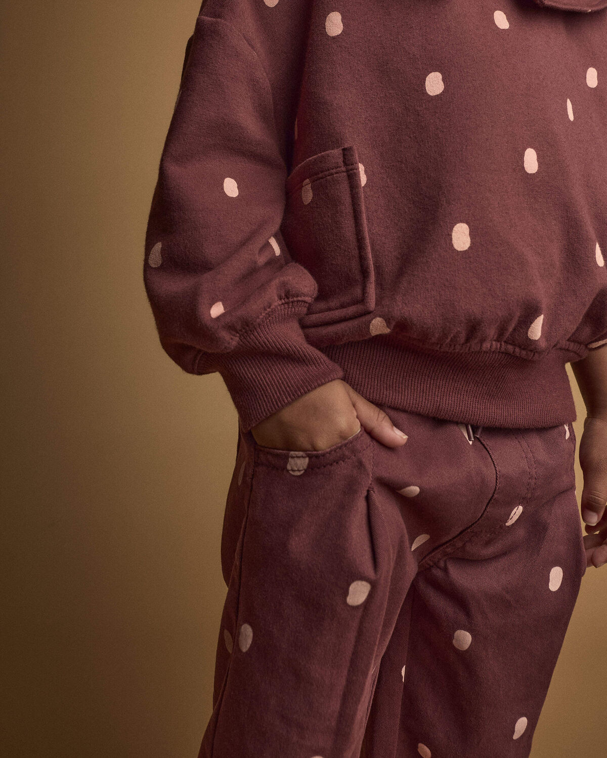 Toddler Girl Pleated Pants in Polka Dots - Burgundy