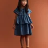 Toddler Girl Ruffle Tiered Dress in Chambray - Blue