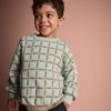 Toddler Otter Sweatshirt™ with Pockets in Checkered Print - Light Blue 5 Toddler Otter Sweatshirt™ with Pockets in Checkered Print - Light Blue