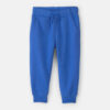 Toddler Boy Fleece Joggers - Blue