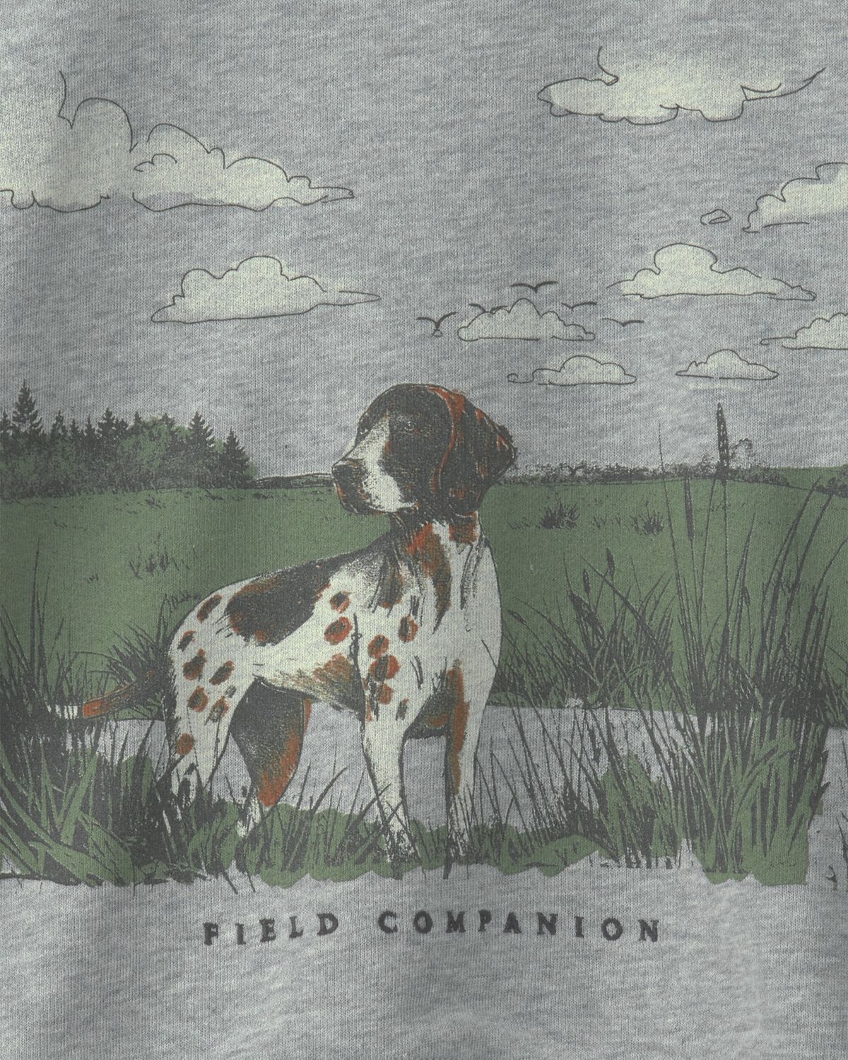 Boys 'Field Companion' Dog French Terry Pullover Sweatshirt - Grey