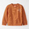 Toddler Organic Cotton Pumpkin Pie Pullover