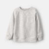 Toddler Boy Fleece Pullover Sweatshirt - Grey