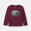 Toddler Boy 'All Aboard!' Train Long-Sleeve Graphic Tee - Burgundy