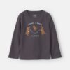 Toddler Boy Dinosaur Long-Sleeve Graphic Tee - Grey