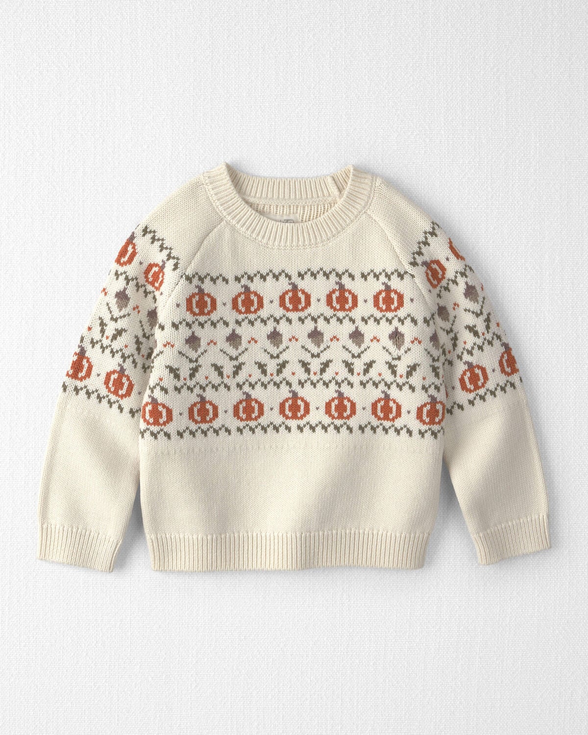 Toddler Organic Cotton Fair Isle Sweater Knit Pullover