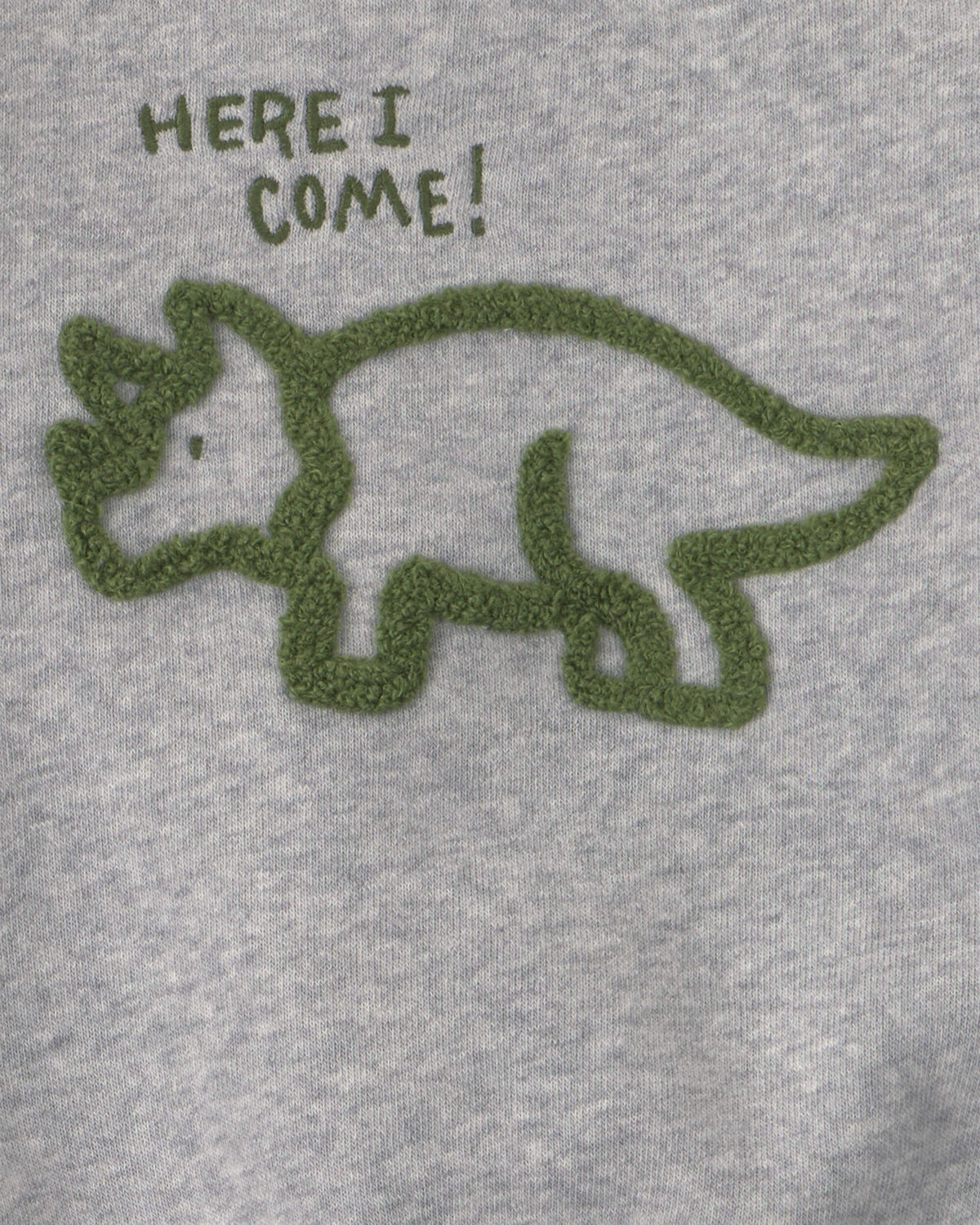 Baby Boy 2-Piece Dinosaur Fleece Pullover & Pant Set - Grey 3 Baby Boy 2-Piece Dinosaur Fleece Pullover & Pant Set - Grey