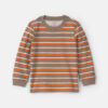 Toddler Boy Striped Long-Sleeve T-Shirt - Grey/Orange/Cream