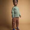 Toddler Boy Pocket Pants in Stripes - Brown
