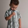 Toddler Boy Button-Down Short-Sleeve Shirt in Stripes - Light Blue/Sage 12 Toddler Boy Button-Down Short-Sleeve Shirt in Stripes - Light Blue/Sage