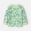 Toddler Boy Winter Long-Sleeve T-Shirt - Green/Blue