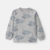 Toddler Boy Dinosaur Long-Sleeve T-Shirt - Grey