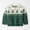 Toddler Organic Cotton Fair Isle Sweater Knit Pullover 4 Toddler Organic Cotton Fair Isle Sweater Knit Pullover