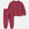 Baby Boy 2-Piece Construction French Terry Sweatshirt & Pant Set - Burgundy
