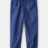 Toddler Boy  Cotton Everyday Pull-On Jogger - Navy