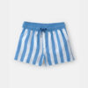Toddler Boy Striped Swim Trunks - Blue