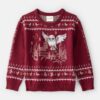 Boys Harry Potter® Long-Sleeve Sweater - Red