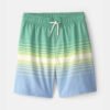 Boys Striped Swim Trunks - Green/Blue